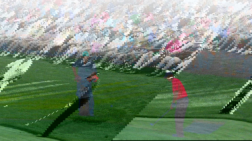 Tiger Woods' winning Nike Golf ball from 2005 Masters sells for $30k! 