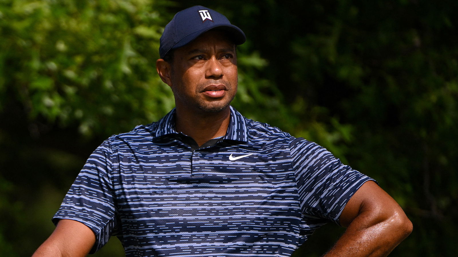 ESPN announcers stunned by the size of Tiger Woods' sandwich during US PGA