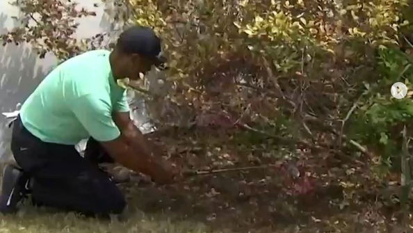 Woods loses to Snedeker but plays INCREDIBLE shot from under a tree!