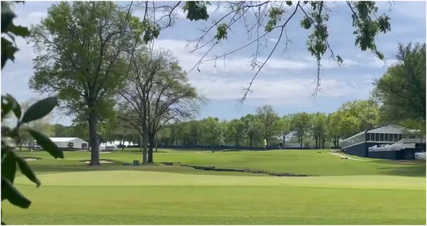 WATCH: Fan, in the bushes, captures absolute DART from Tiger Woods