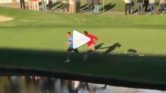 golf fan jumps into water at torrey pines
