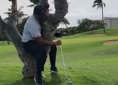 Golfer hits shot whilst sitting in a tree, but what's the ruling?