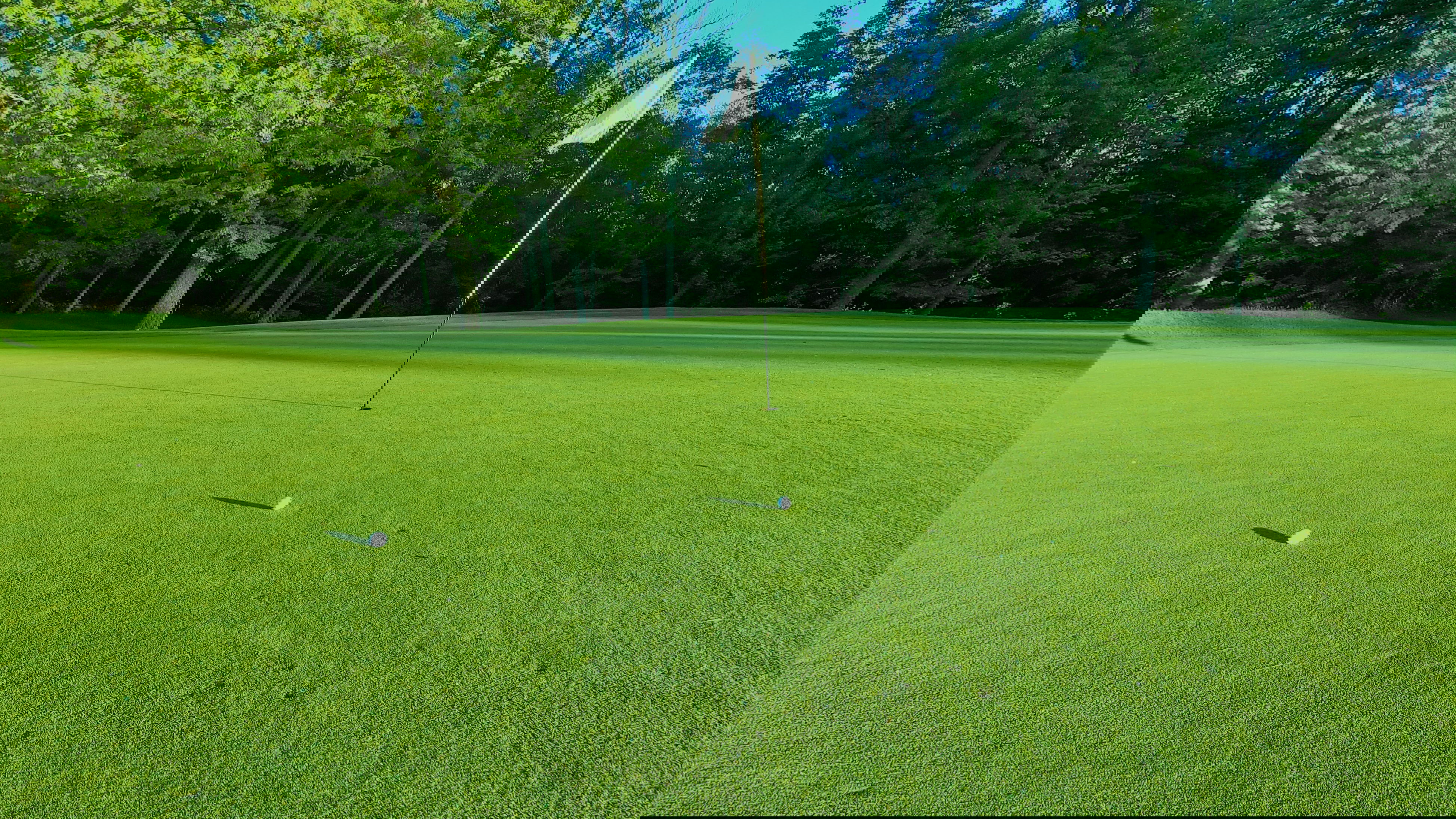 Members REPORT golfer who gets DISQUALIFIED for green damage