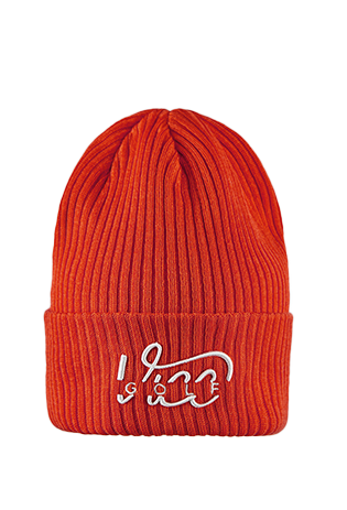 VICE BEANIE SPLIT LOGO ORANGE