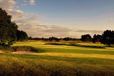 Motorcyclists DESTROY Walton Heath GC fairways