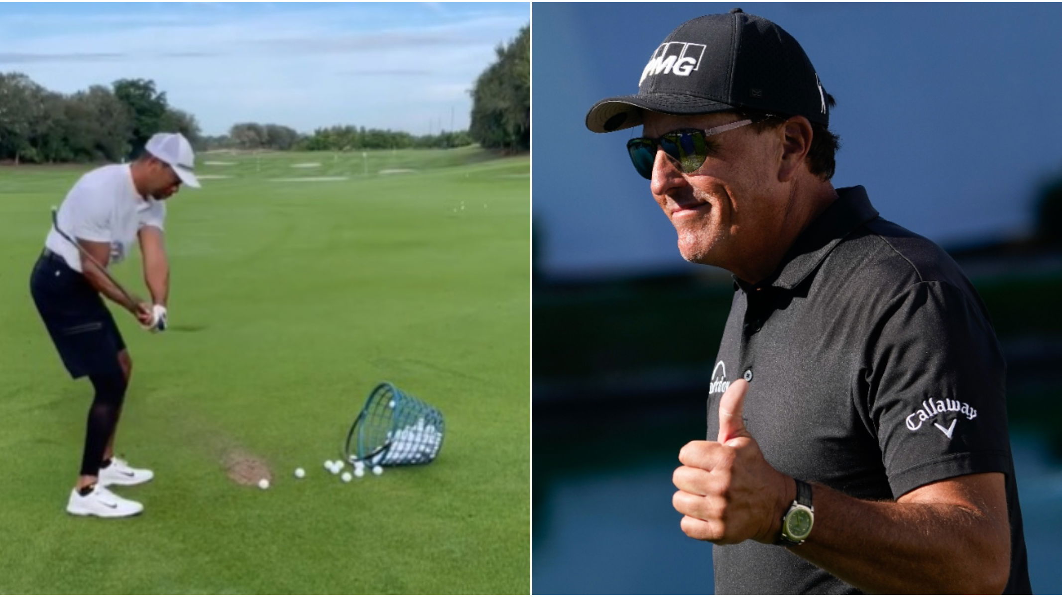 Tiger Woods posted a three-second swing video and the tour pros went ballistic
