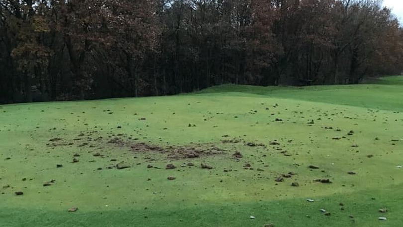 Yobs tear apart SEVEN greens with golf clubs in shocking vandal attack