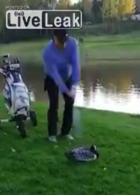 Outrage as sick thug posts video of him beheading a goose with golf club