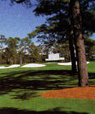 Augusta made Tiger proof