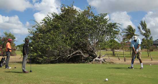 Barbados golf