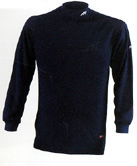 Mizuno Breath Thermo turtleneck shirt 