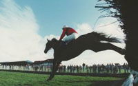 Courses for horses...and golfers!