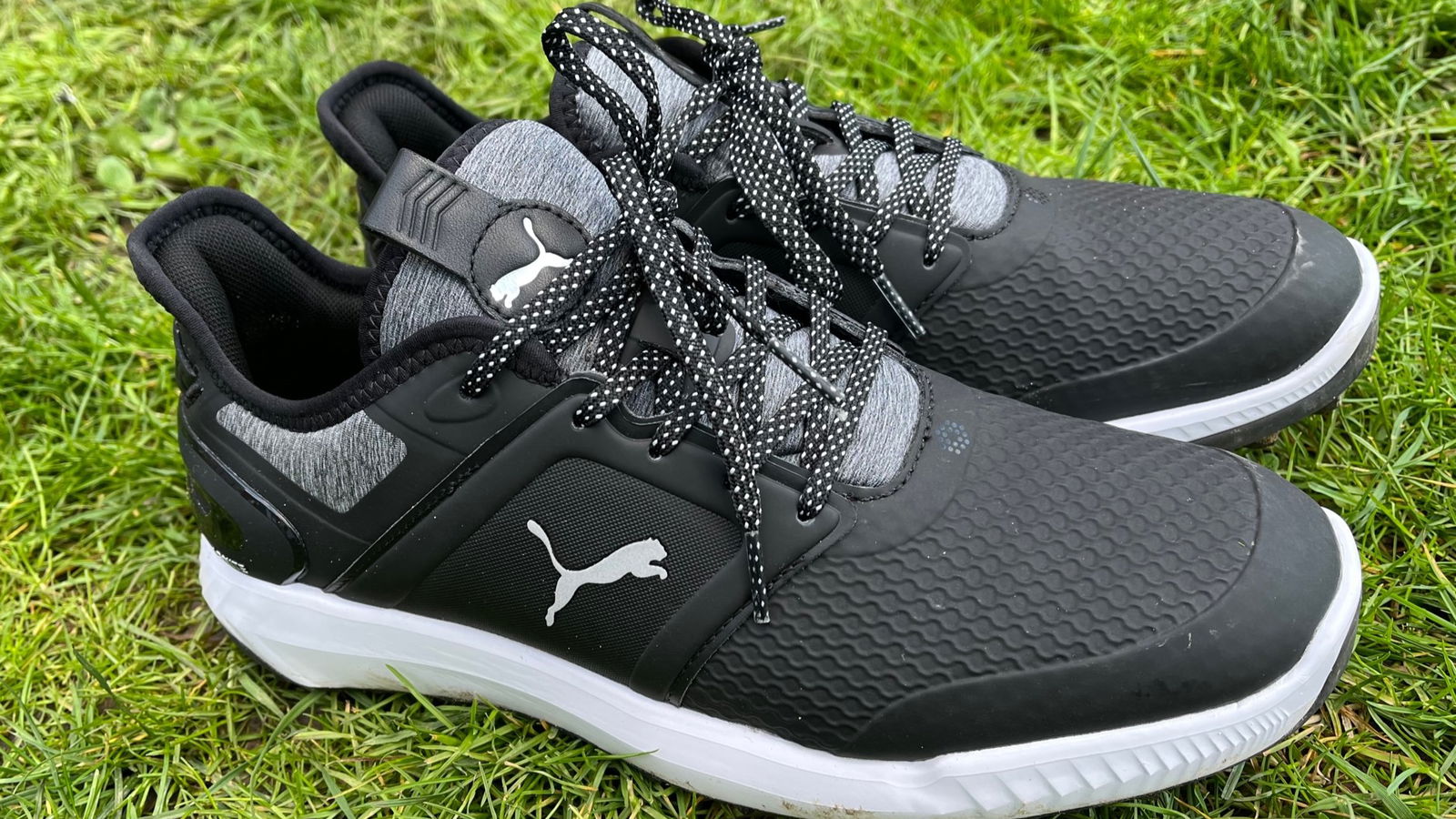 PUMA Ignite Elevate Golf Shoes Review: 