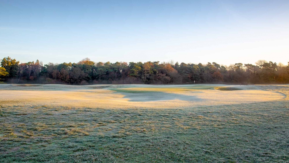 Royal Worlington & Newmarket Golf Club (Mildenhall) review