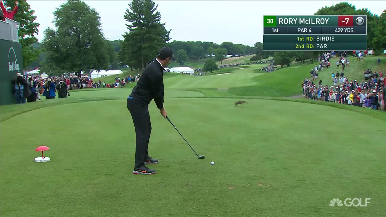WATCH: Rory McIlroy's tee shot crashed by squirrel