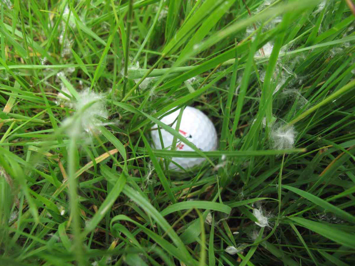 Toughest Golf Shots: 50 yard deep rough pitch