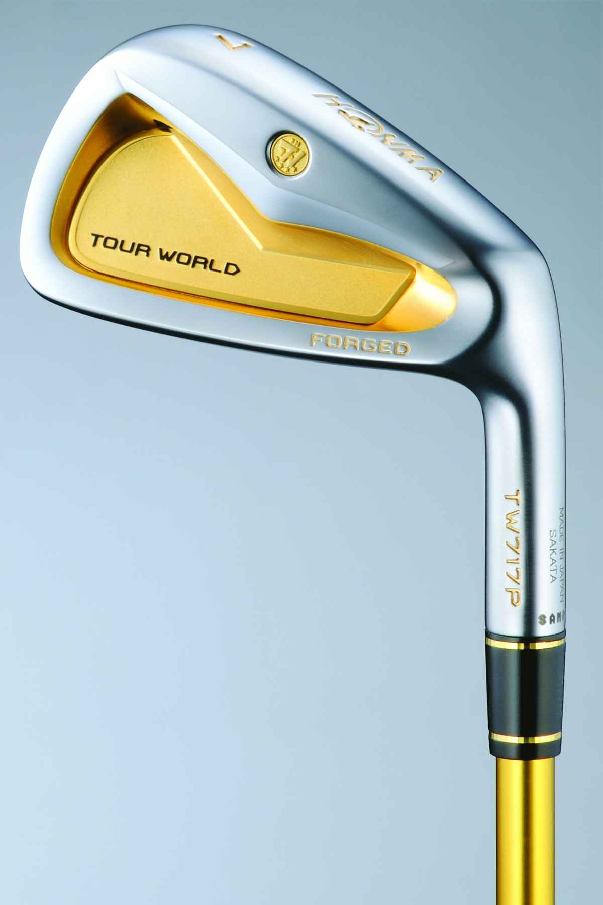 2013's three most expensive irons