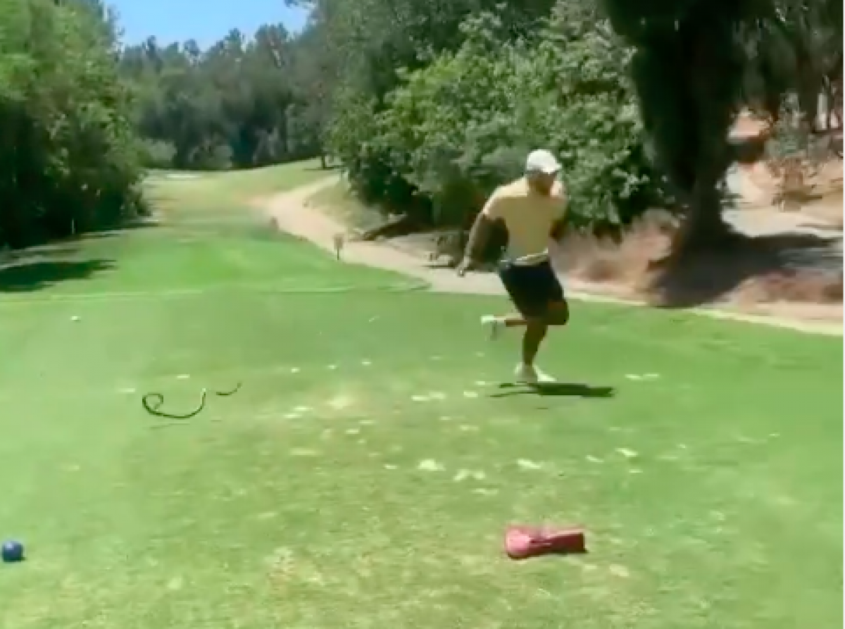 Golf fans react to HILARIOUS FAKE SNAKE prank on the golf course! |  GolfMagic