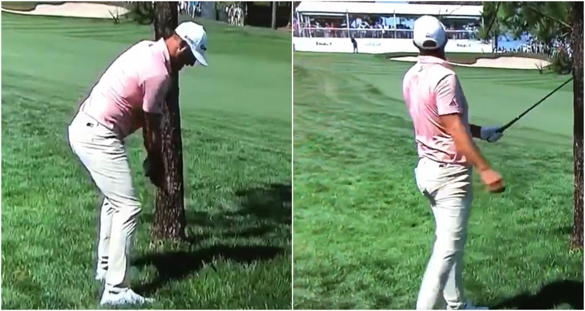 "Went right after it!" Dustin Johnson takes tree shot head-on and wins