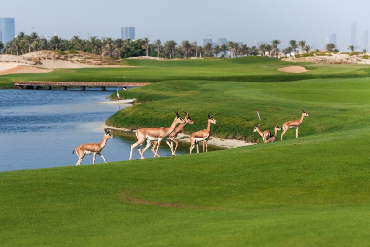 Saadiyat Beach Golf Club earns coveted Audubon sustainability certification