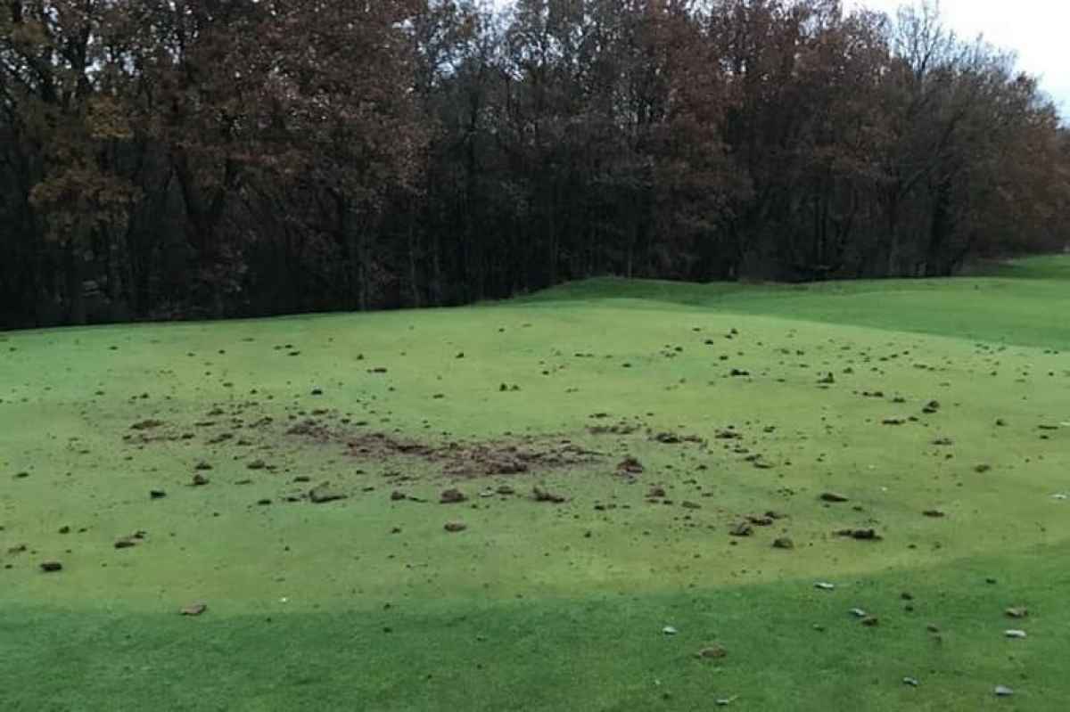 Yobs tear apart SEVEN greens with golf clubs in shocking vandal attack