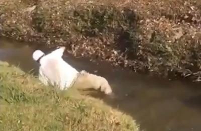 Golfer takes a SPLASH after attempting jump over water