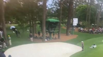 Horrifying footage emerges of giant pine tree falling down by patrons at The Masters