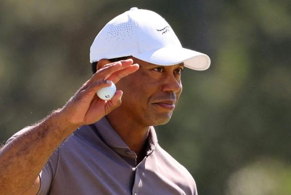 Woods reportedly voted against McIlroy's return