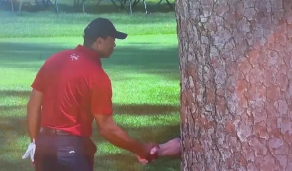 Tiger Woods' viral Augusta National tree meme
