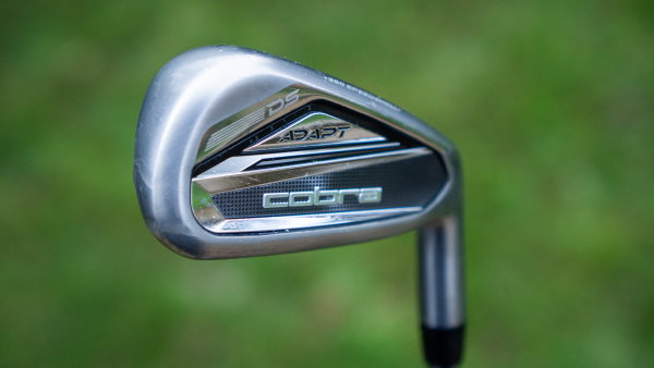 Cobra DS Adapt Irons