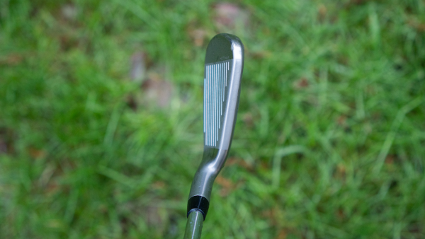 Cobra DS Adapt Irons