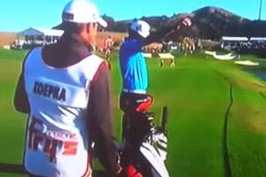 Brooks Koepka's illegal drop that wasn't spotted!