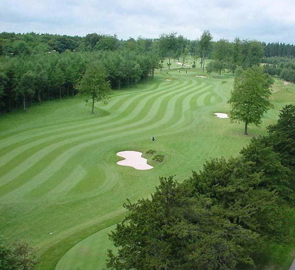 Forest Pines bids for Solheim Cup 2015