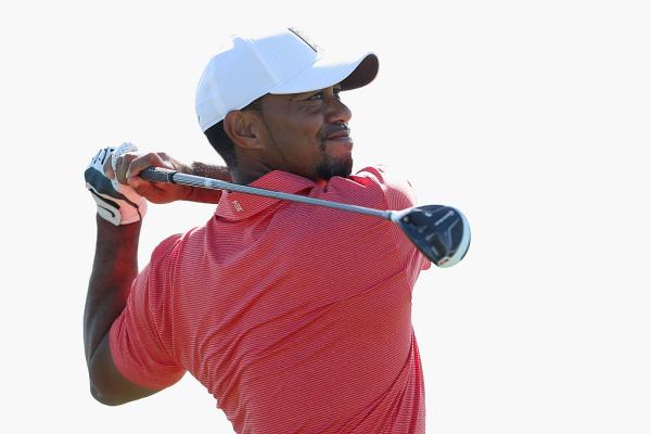 tiger woods found m1 fairway in back of shed