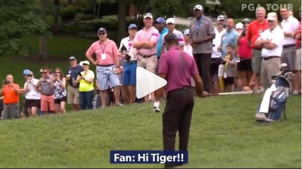 Tiger Woods holes outrageous chip at Memorial Pro-Am, gives ball to girl