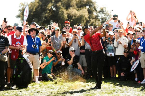 Tiger Woods: 'I showed heart and fought my tail off'