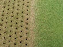 Why is it important to poke holes in your greens?