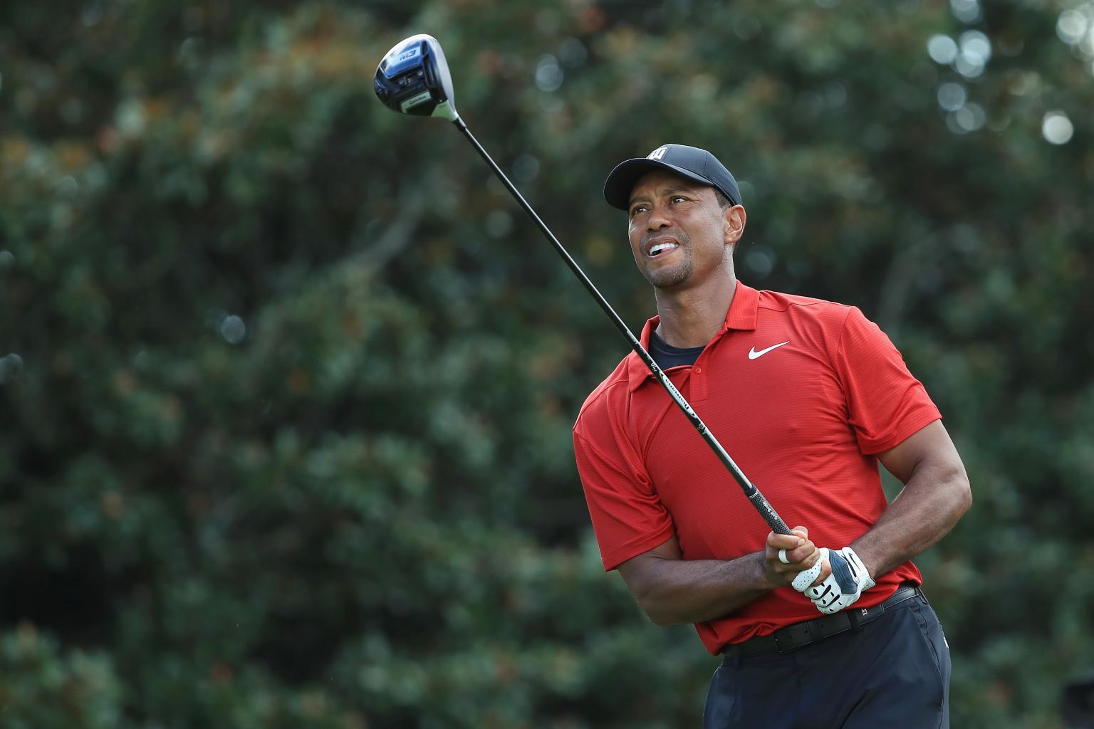 Tiger Woods the golf clubs as used by the Tour Championship winner