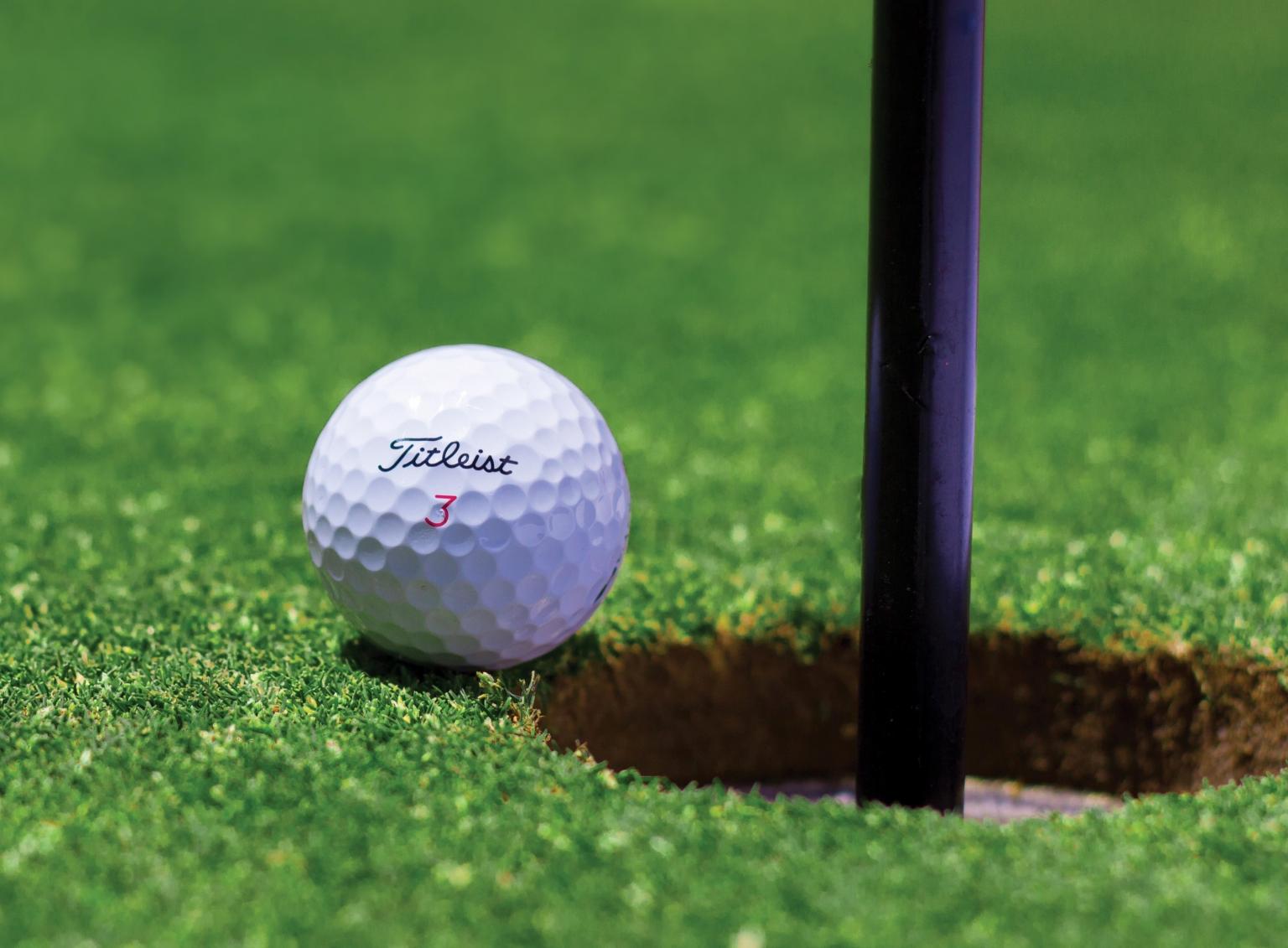 Beetle pushes golf ball into the hole! Here's the official ruling ...