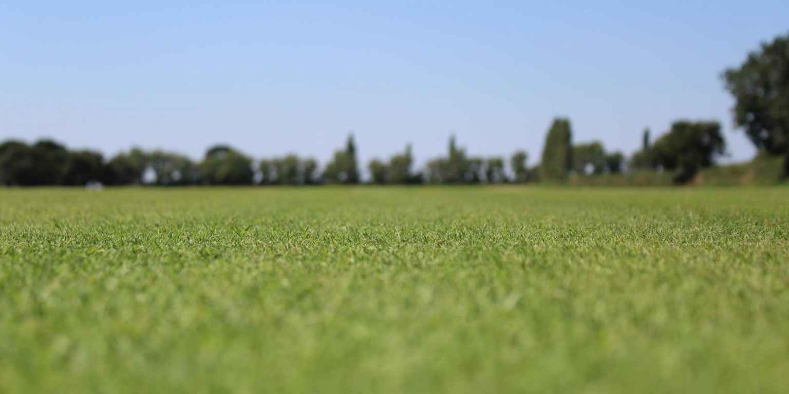 How to get a golf course lawn a stepbystep guide GolfMagic