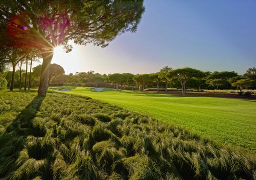 Quinta do Lago eco-blueprint shines light to path after lockdown