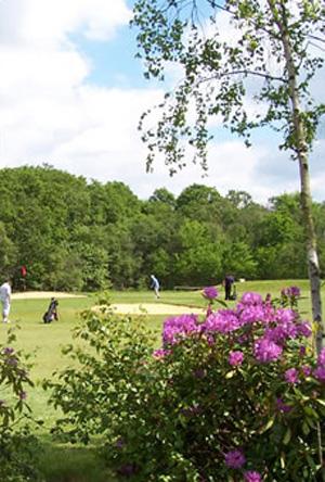 Hedsor Golf Course review