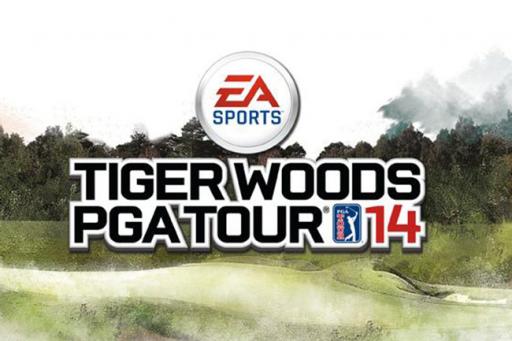 Woods dropped by EA Sports