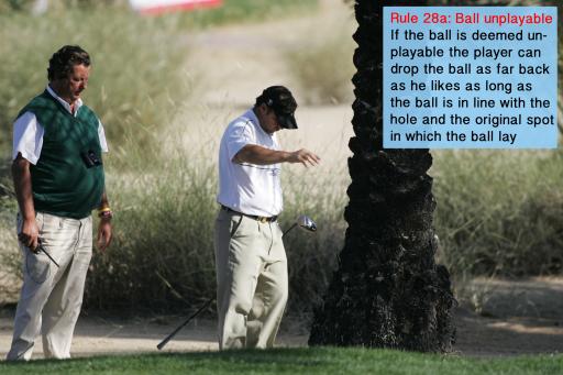 Golf Rule 28: Ball unplayable