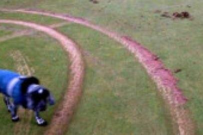 Golf course hit by 40k vandalism spree