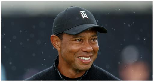 This jaw-dropping graphic showcases Tiger Woods' dominance in hilarious fashion