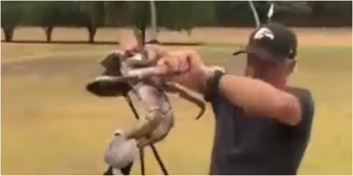 Golf rules: Can I replace my club if a crab snaps it?