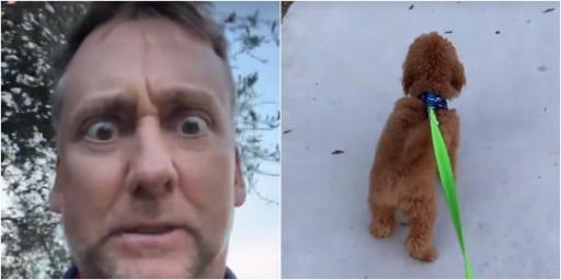 Ian Poulter RAGING over selfish dog owners not picking up mess