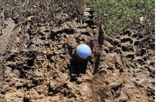 Are you allowed FREE RELIEF if your ball has landed in thick mud?