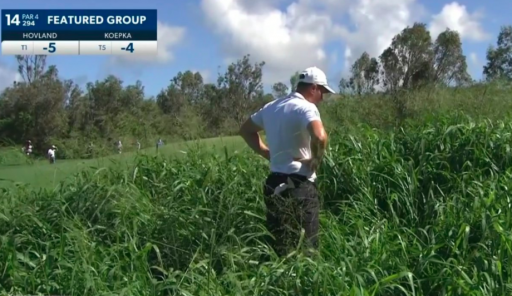 Viktor Hovland suffers SERIOUS TROUBLE in long grass on day one at Kapalua